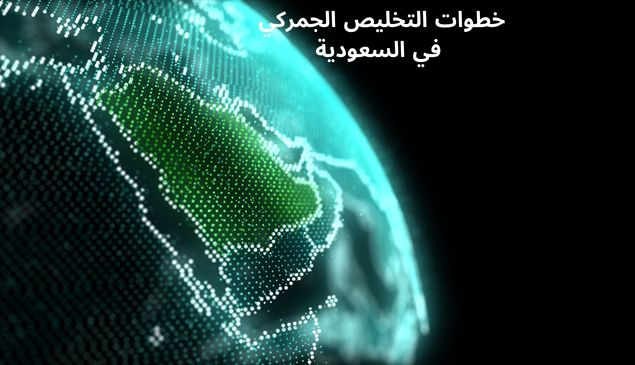 Read more about the article خطوات التخليص الجمركي في السعودية