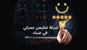 Read more about the article شركة تخليص جمركي في ضباء